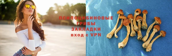 дживик Абинск