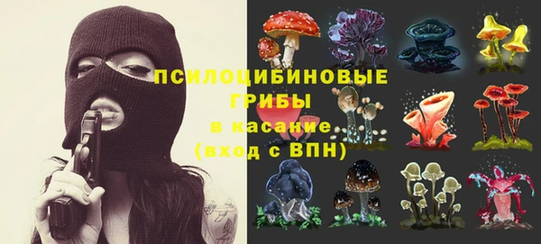 дживик Абинск