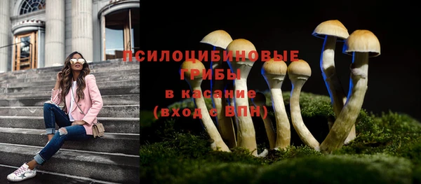 дживик Абинск