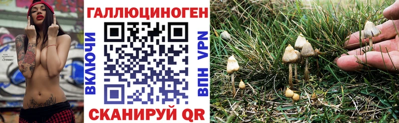 Псилоцибиновые грибы мухоморы  Абдулино 